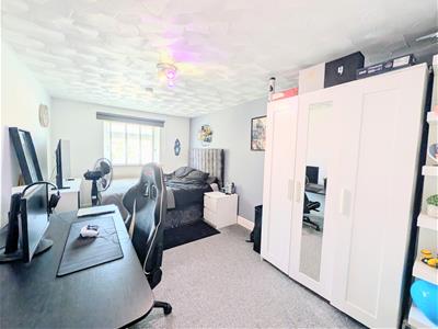 Picture 14